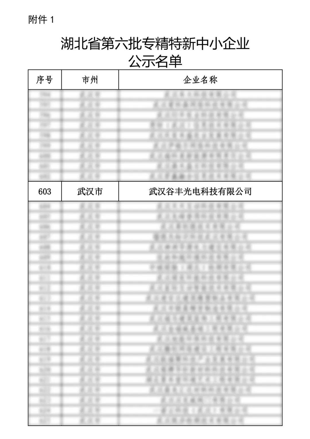 谷豐光電榮獲湖北省第六批專精特新中小企業(yè)認定！